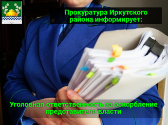 Уголовная ответственность за оскорбление представителя власти