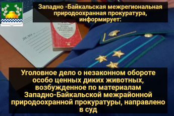 Уголовное дело о незаконном обороте особо ценных диких животных, возбужденное по материалам Западно-Байкальской межрайонной природоохранной прокуратуры, направлено в суд