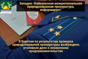 В Бурятии по результатам проверки природоохранной прокуратуры возбуждено уголовное дело о незаконном предпринимательстве