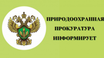 Исполнение судебных решений, в том числе об освобождении земельных участков от незаконных строений, расположенных в Центральной экологической зоне Байкальской природной территории, находится под надзором природоохранной прокуратурой