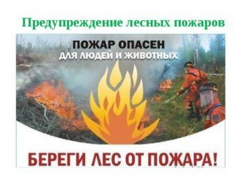 Памятка по профилактике лесных пожаров