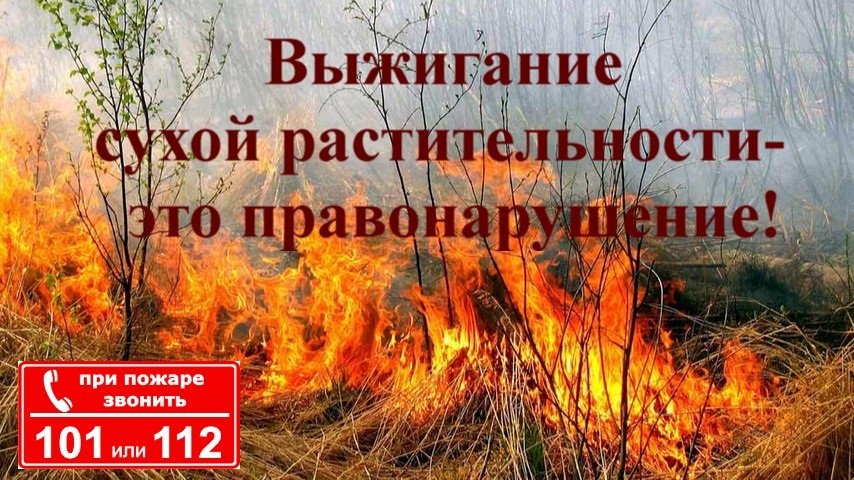 ПАМЯТКА О ЗАПРЕТЕ ОТЖИГА СУХОЙ РАСТИТЕЛЬНОСТИ И АДМИНИСТРАТИВНОЙ ОТВЕТСТВЕННОСТИ В СЛУЧАЕ ВЫЯВЛЕНИЯ НЕИСПОЛЬЗУЕМЫХ УЧАСТКОВ СЕЛЬСКОХОЗЯЙСТВЕННОГО НАЗНАЧЕНИЯ
