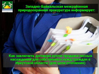 Как заключить договора купли-продажи лесных насаждений для собственных нужд граждан в Иркутской области (для цели отопления)